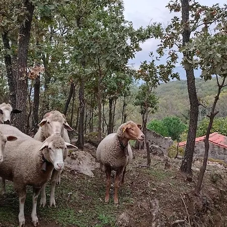 El Rincon De Gredos * Навалуэнга