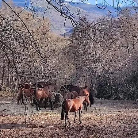 El Rincon De Gredos