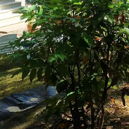 Dom wakacyjny El Rincon De Gredos Navaluenga