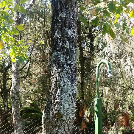 El Rincon De Gredos * Navaluenga