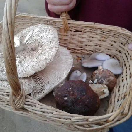 Dom wakacyjny El Rincon De Gredos Navaluenga