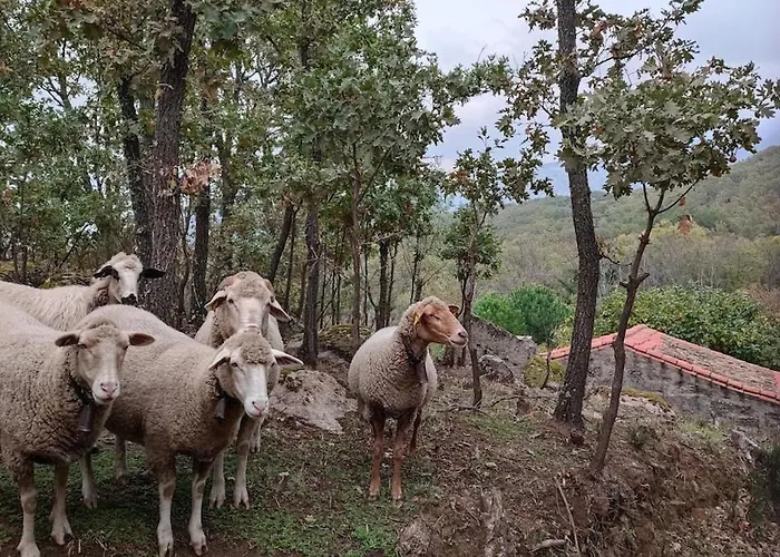 El Rincon De Gredos * Навалуэнга