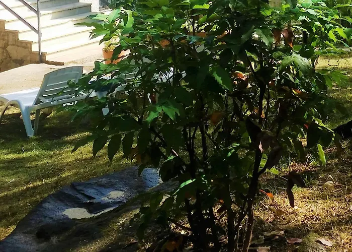 Дом отдыха El Rincon De Gredos Навалуэнга