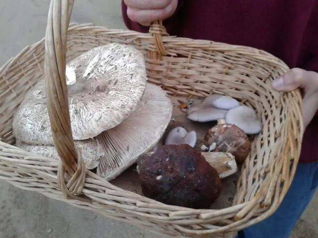 Дом отдыха El Rincon De Gredos Навалуэнга